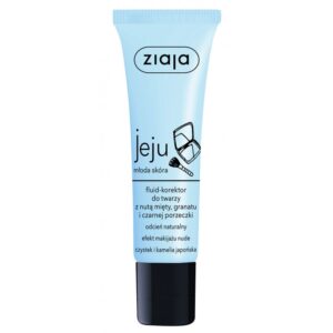 Jeju fluid-korektor do twarzy z nutą mięty granatu i czarnej porzeczki 30ml