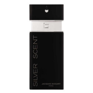 Silver Scent woda toaletowa spray