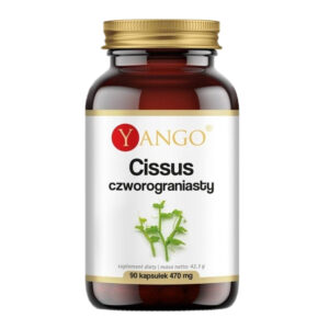 Cissus czworograniasty suplement diety 90 kapsułek