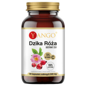 Dzika róża ekstrakt 20:1 suplement diety 90 kapsułek