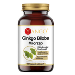 Ginkgo biloba suplement diety 90 kapsułek
