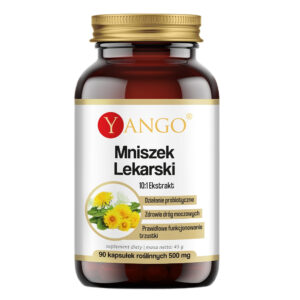 Mniszek Lekarski ekstrakt 10:1 suplement diety 90 kapsułek